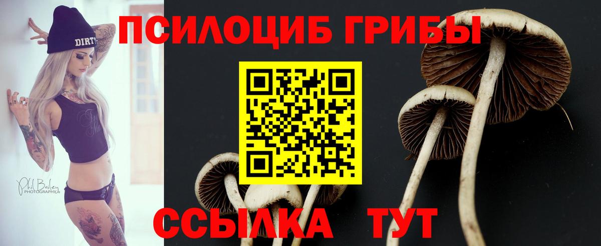 Галлюциногенные грибы мицелий  Псилоцибиновые грибы Psilocybe  Серпухов  Вход с VPN 